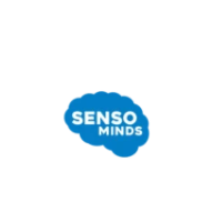 Senso Minds