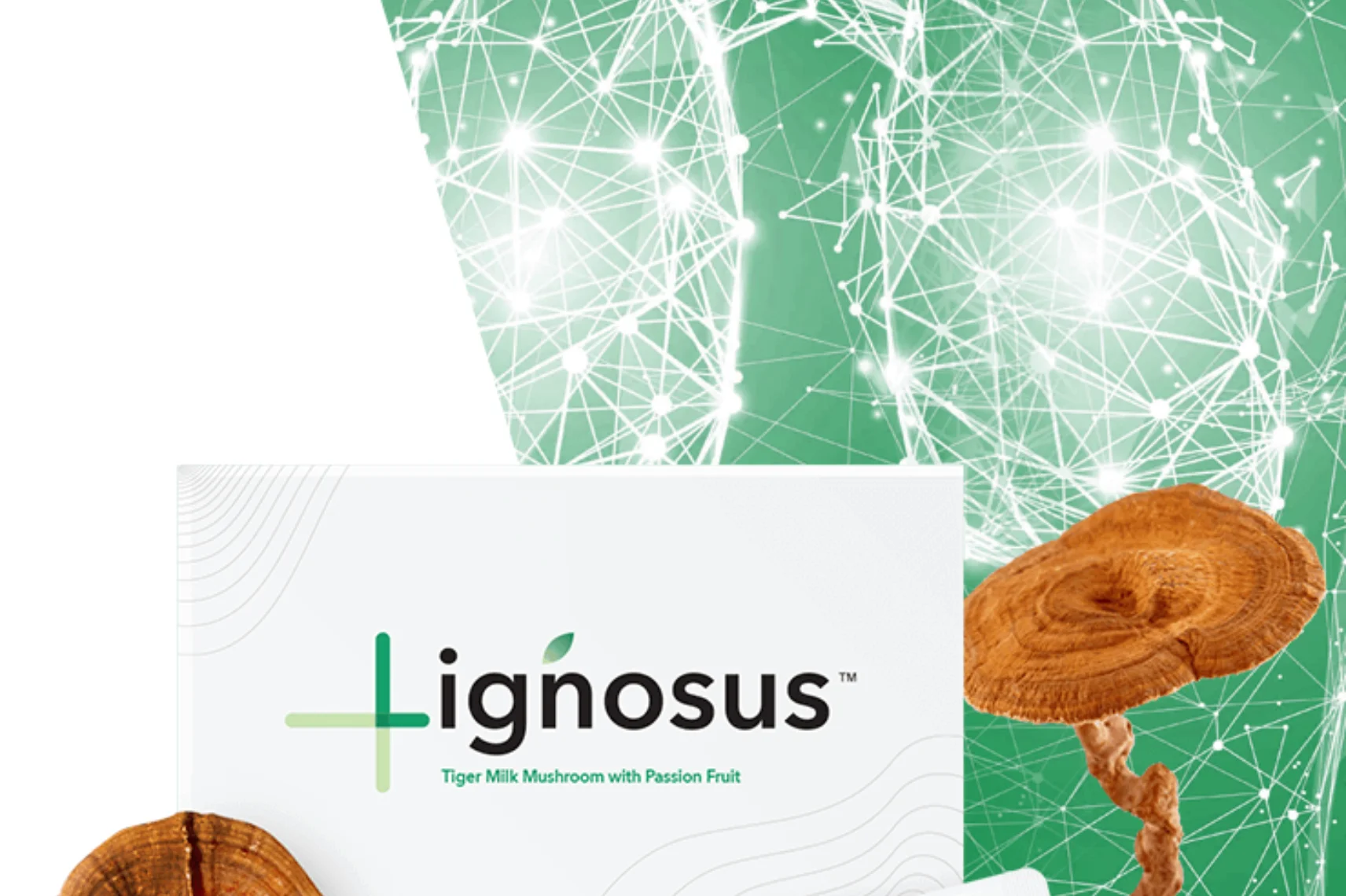lignosus for sinus relief
